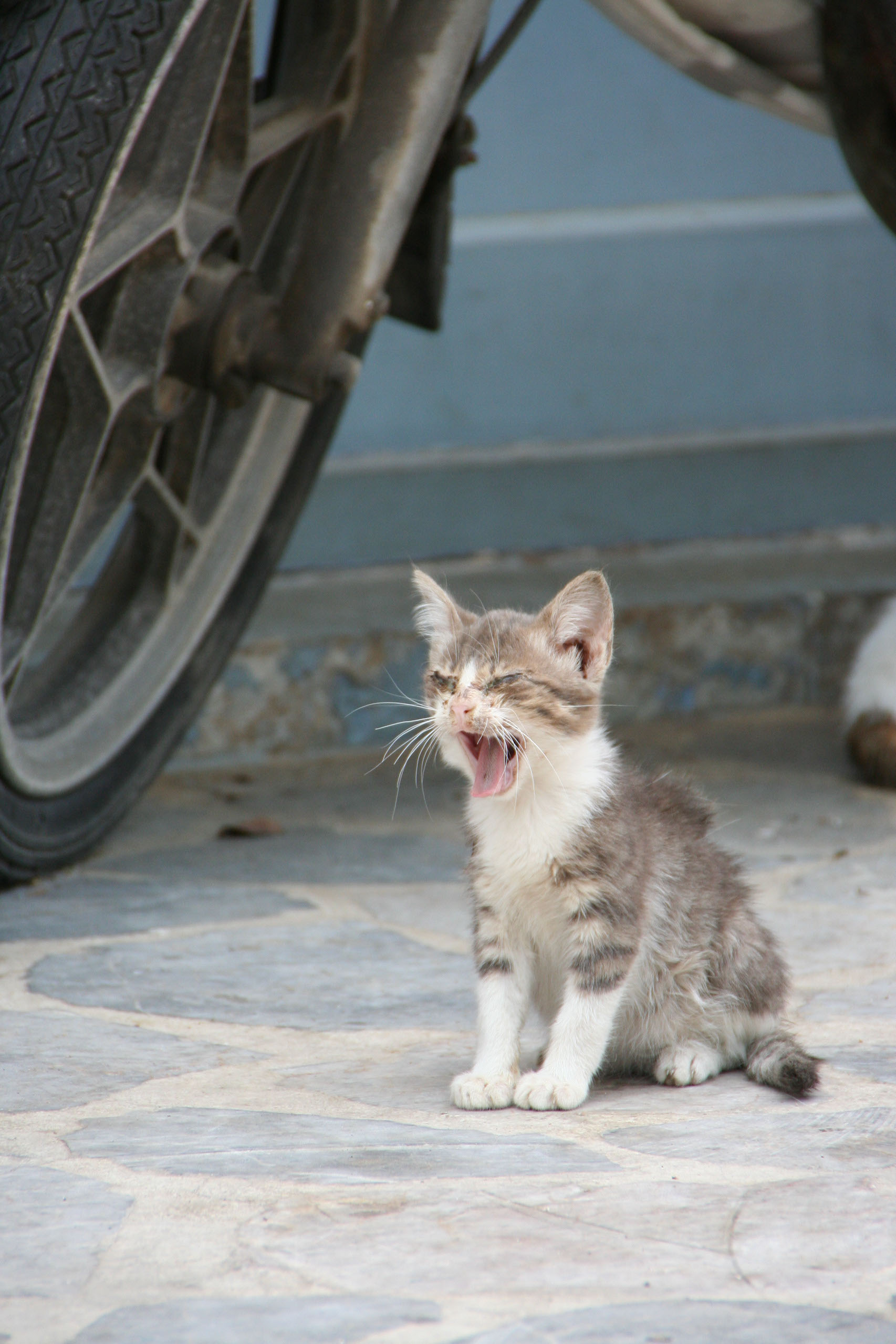 Kalymnos Griekenland, fotografie Angela de Geest