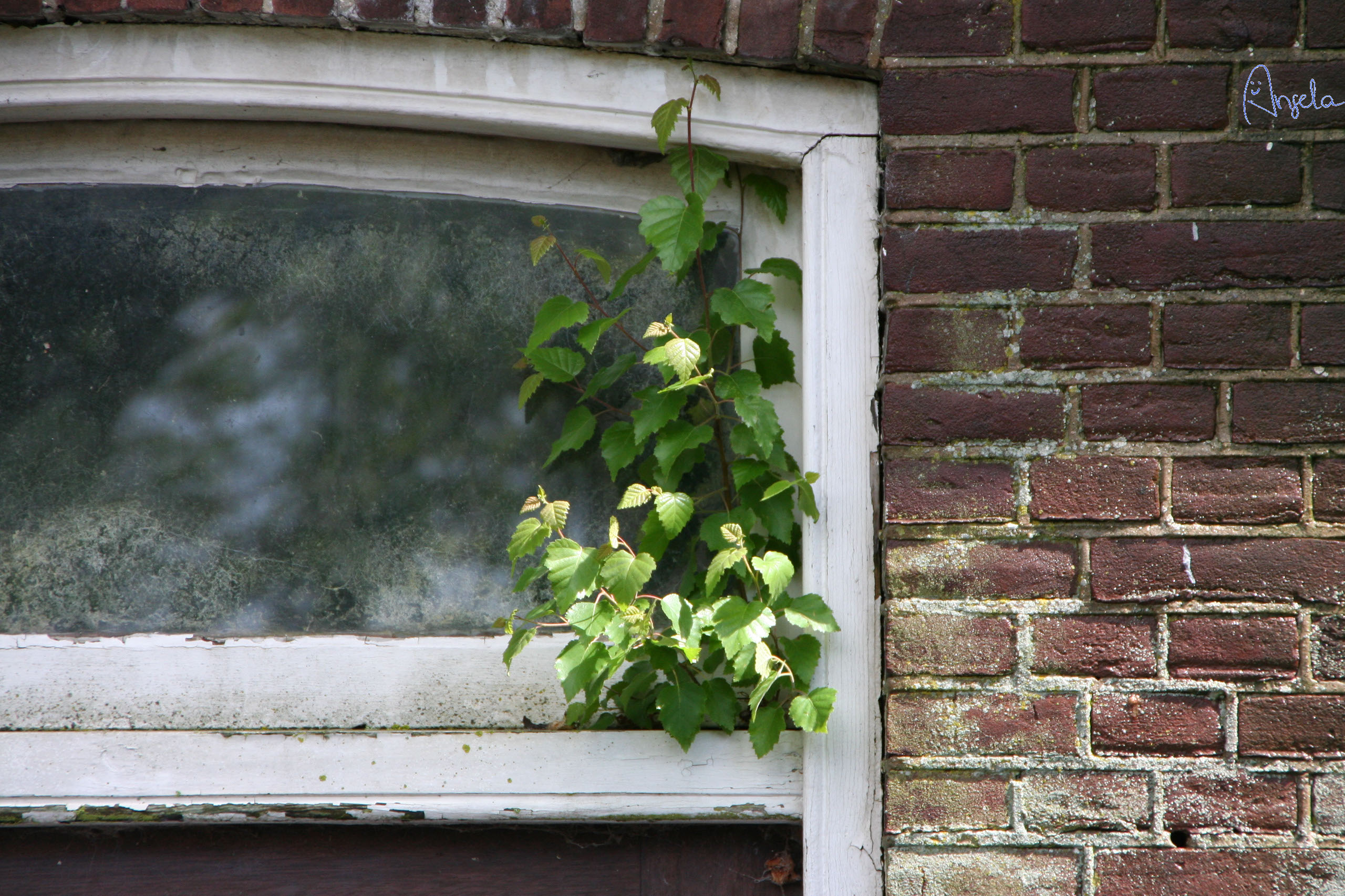 Ameland (2009) Photo by Angela de Geest
