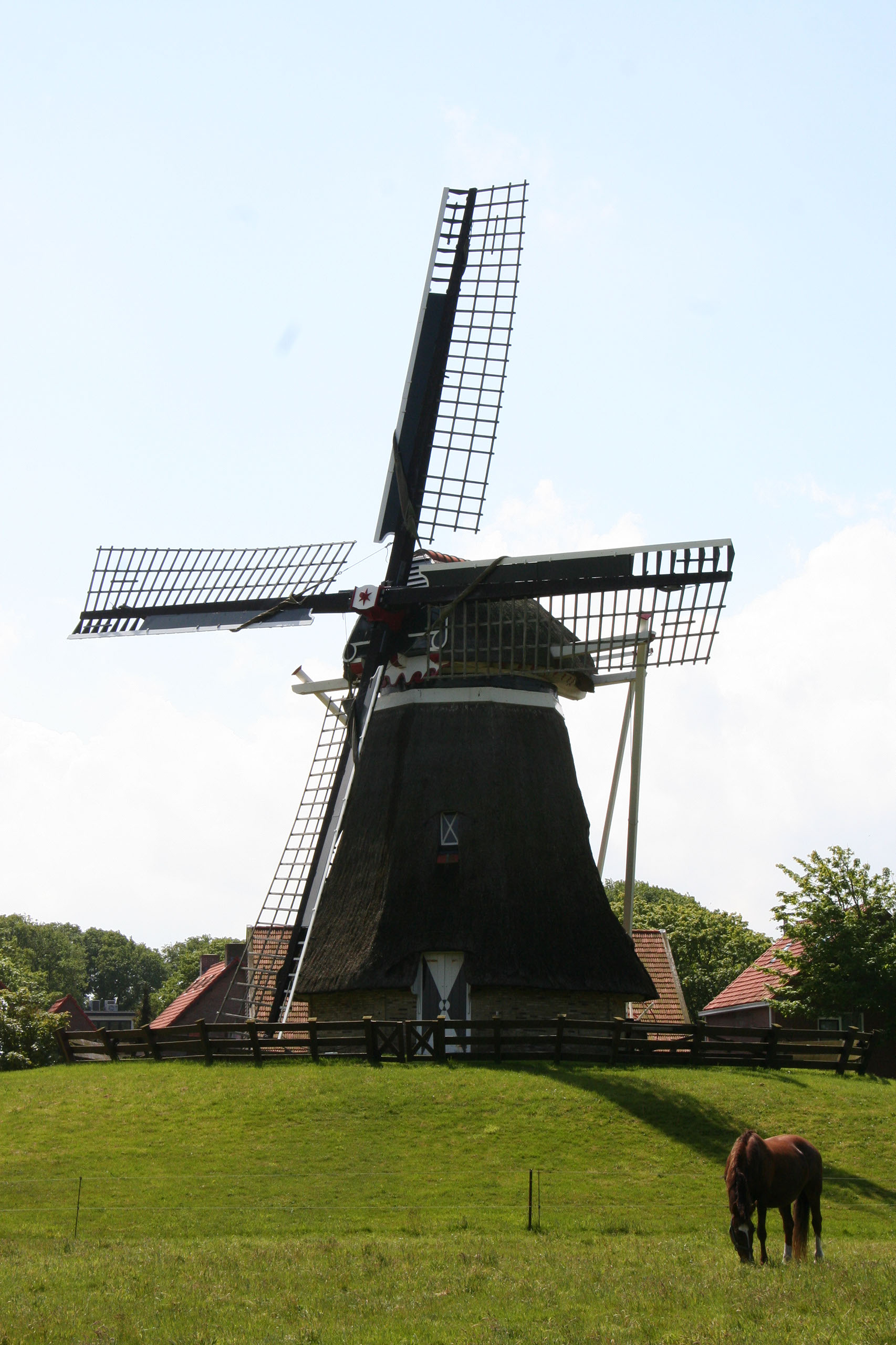 Ameland (2009) Photo by Angela de Geest