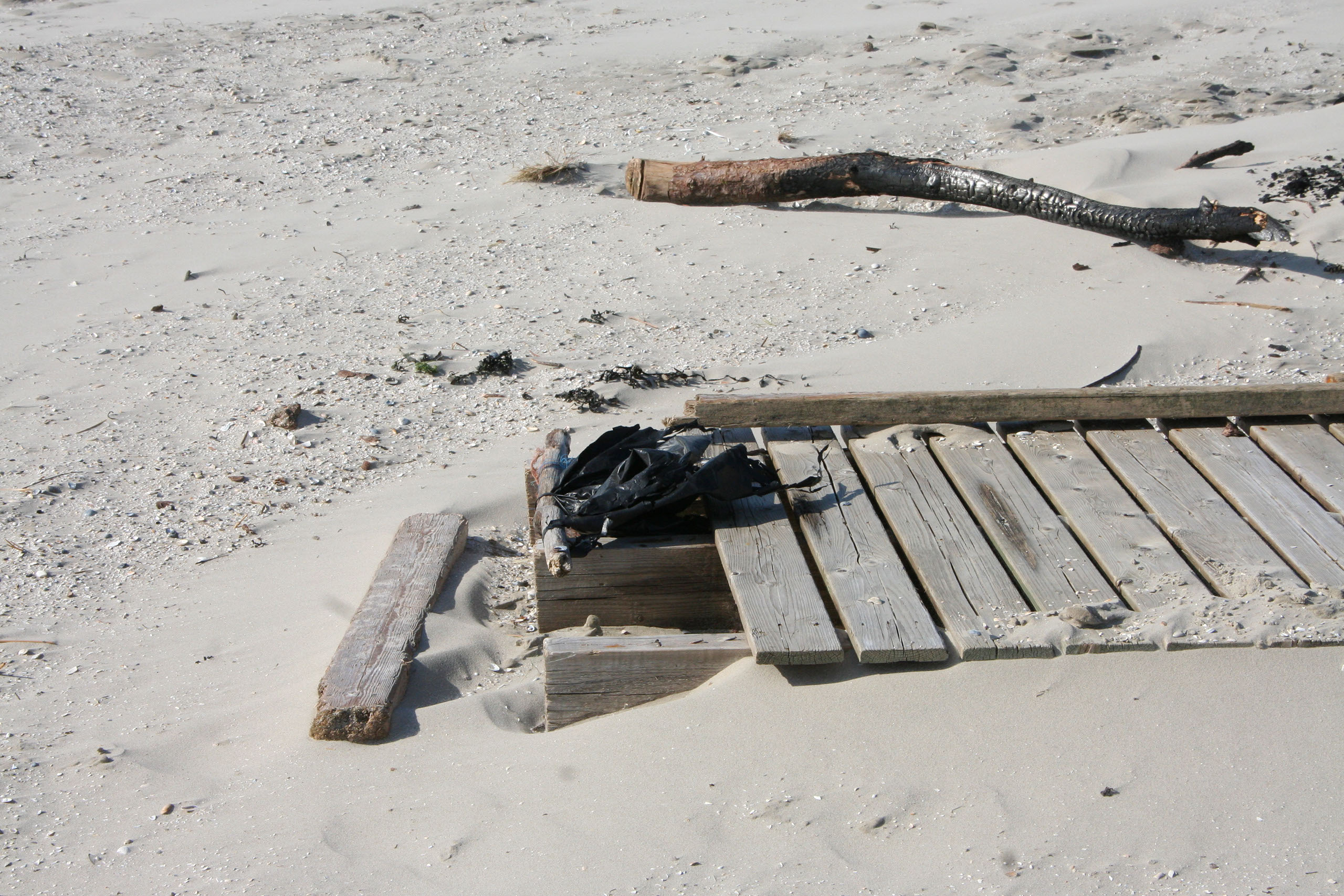 Ameland (2009) Photo by Angela de Geest