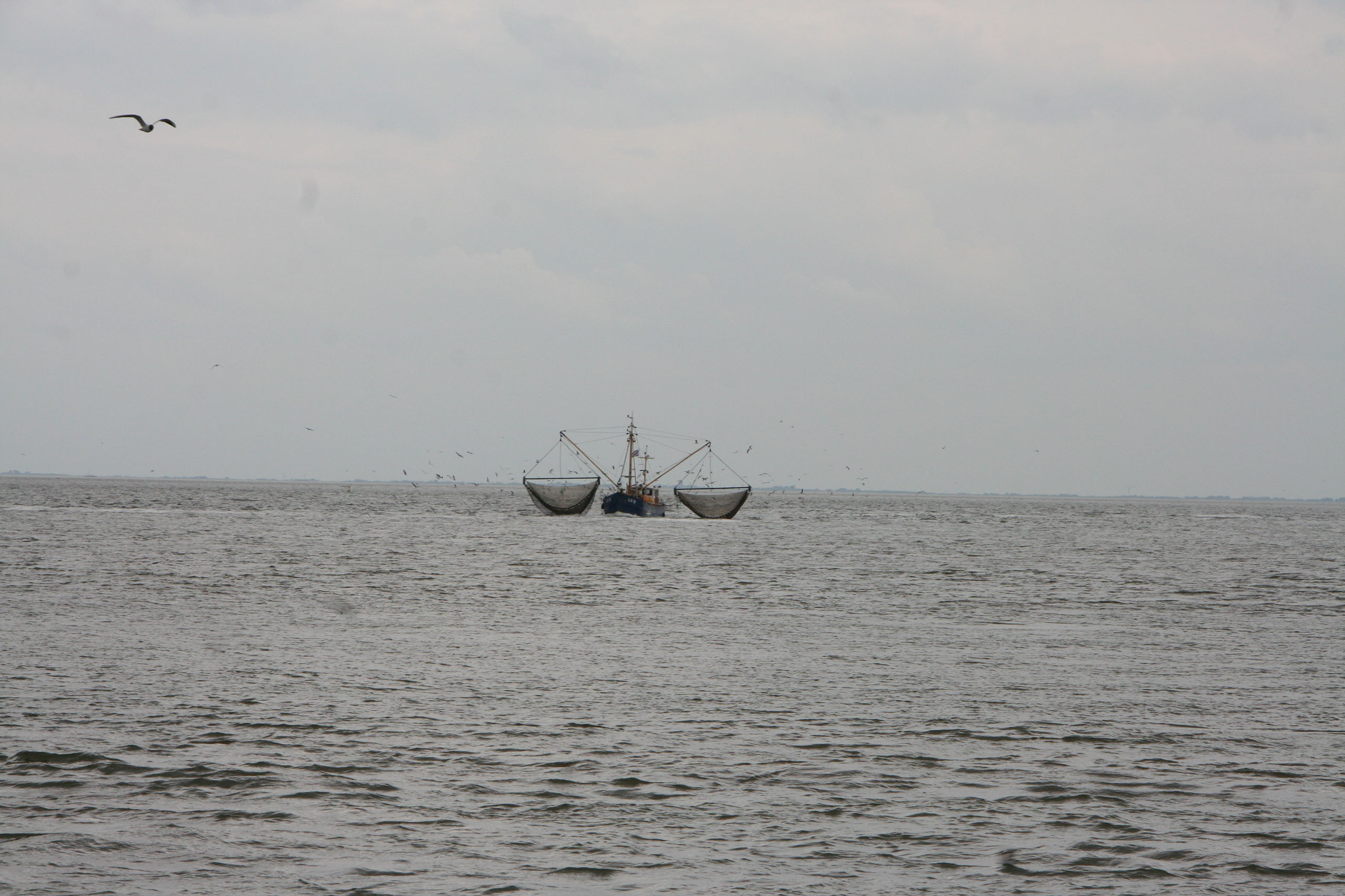 Ameland (2009) Photo by Angela de Geest