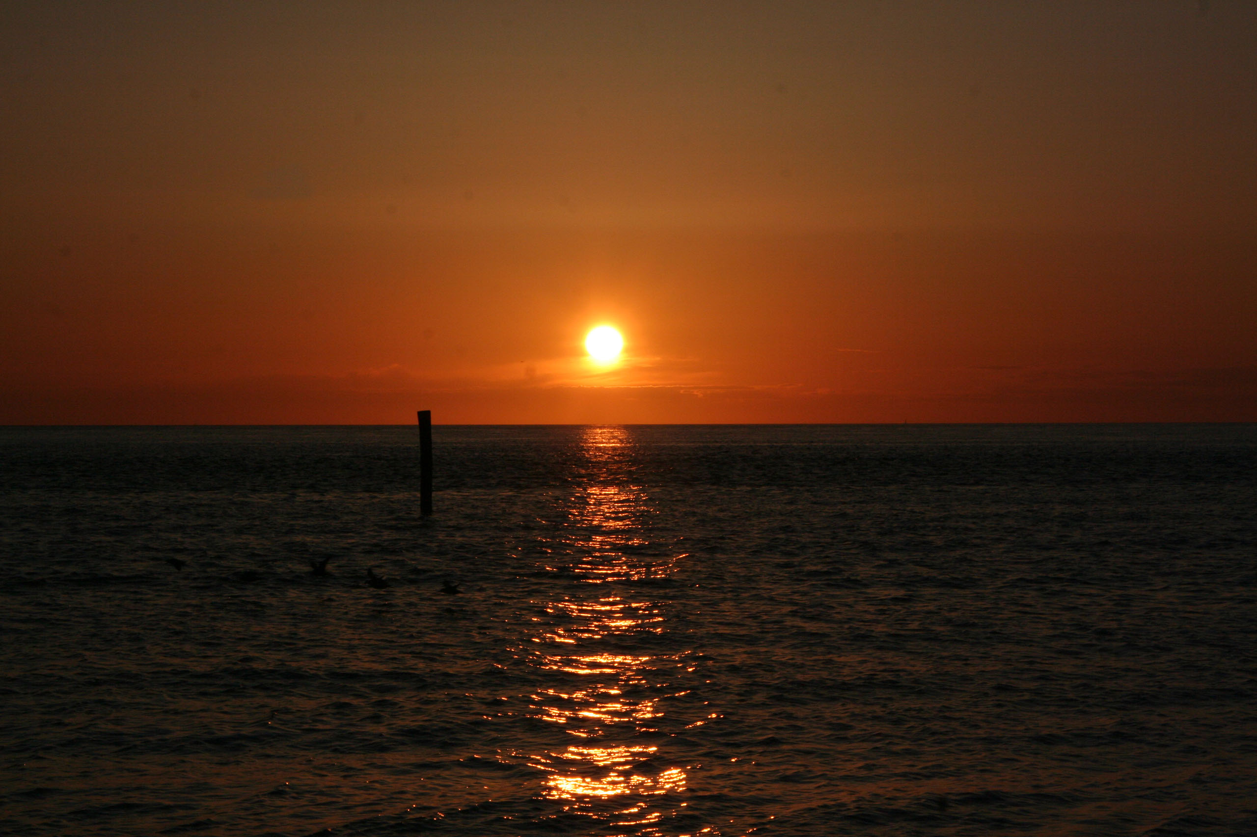 Ameland (2009) Photo by Angela de Geest