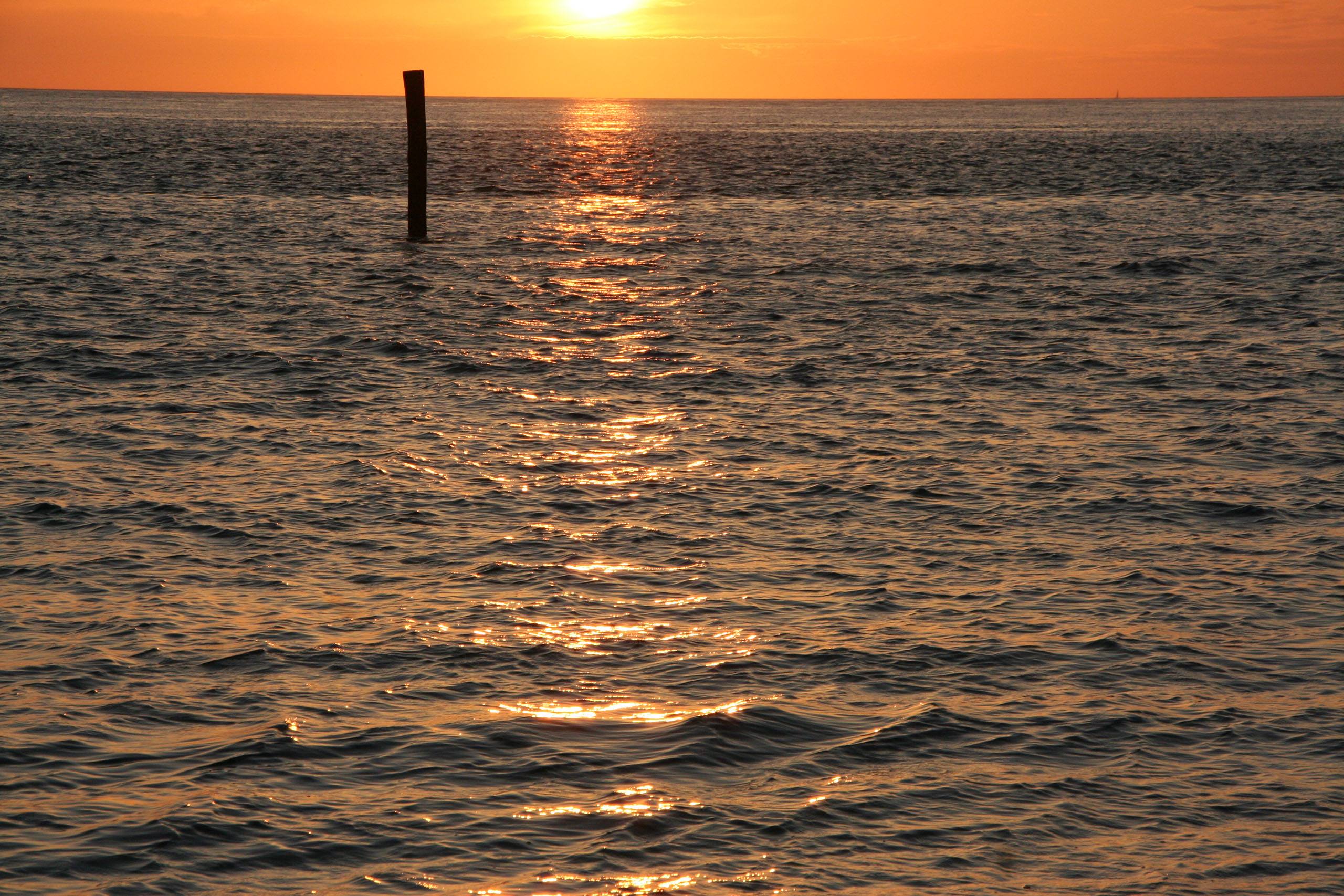 Ameland (2009) Photo by Angela de Geest
