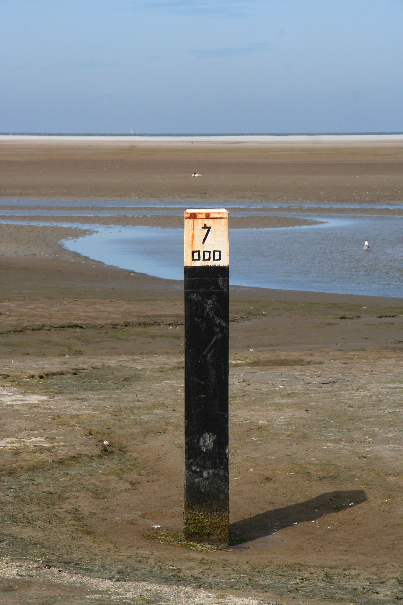 Ameland (2009) Photo by Angela de Geest