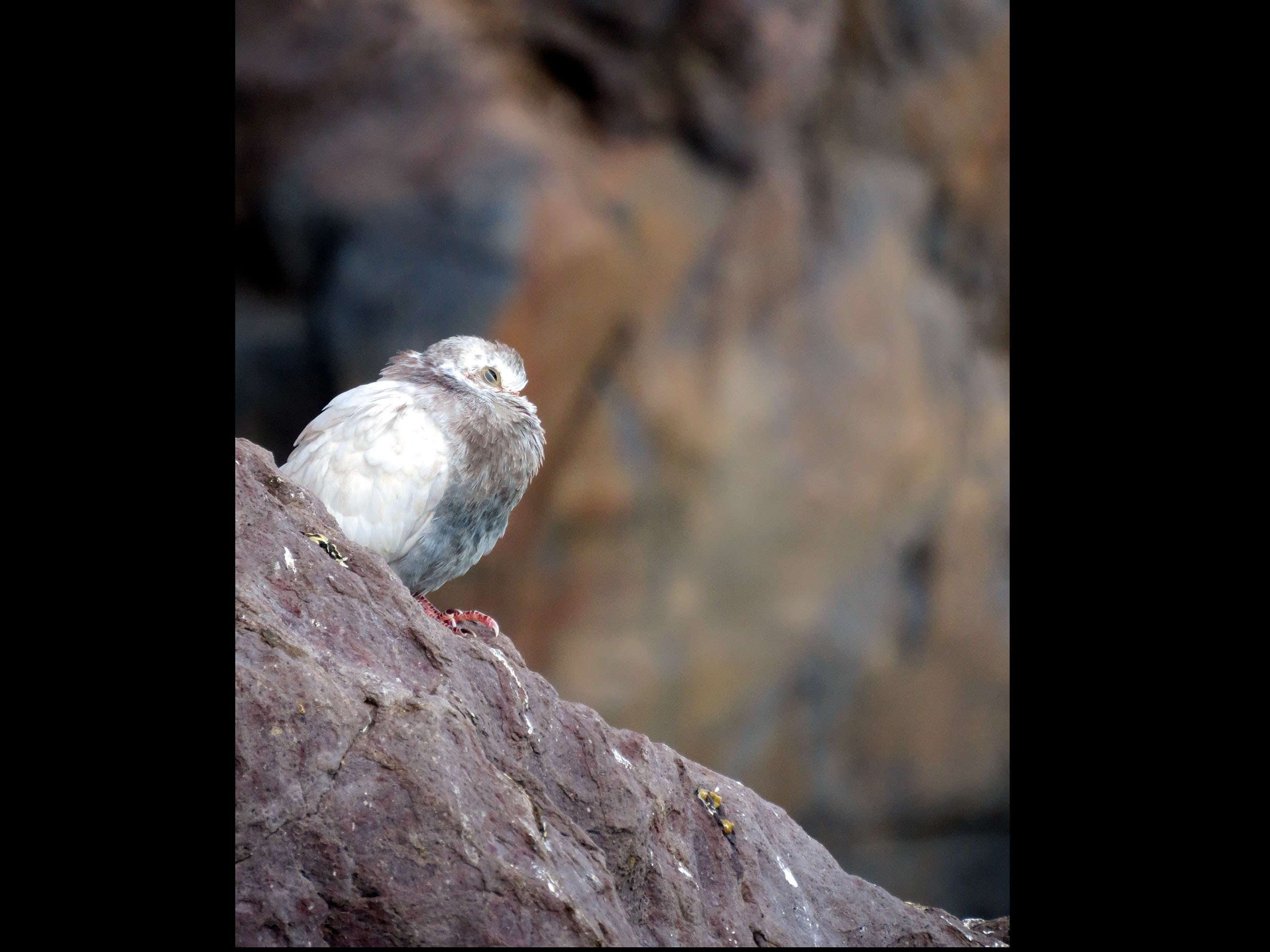 Malta, Valetta (2018), fotografie Angela de Geest