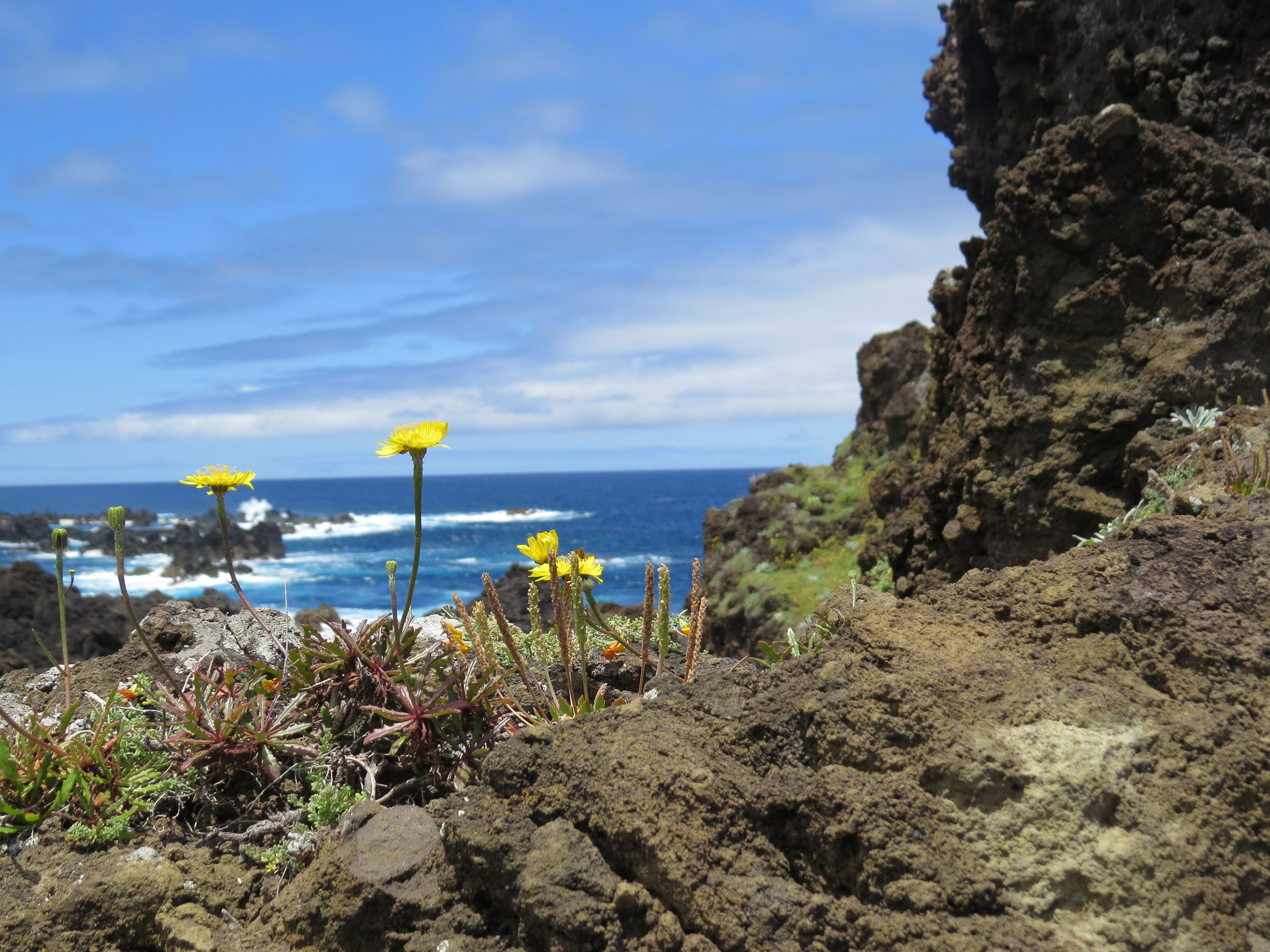 Madeira (2017), fotografie Angela de Geest