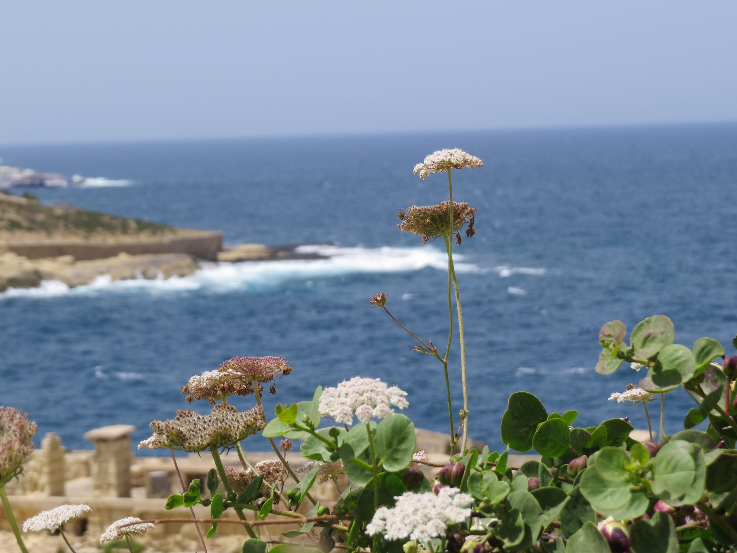 Malta, Valetta (2018), fotografie Angela de Geest