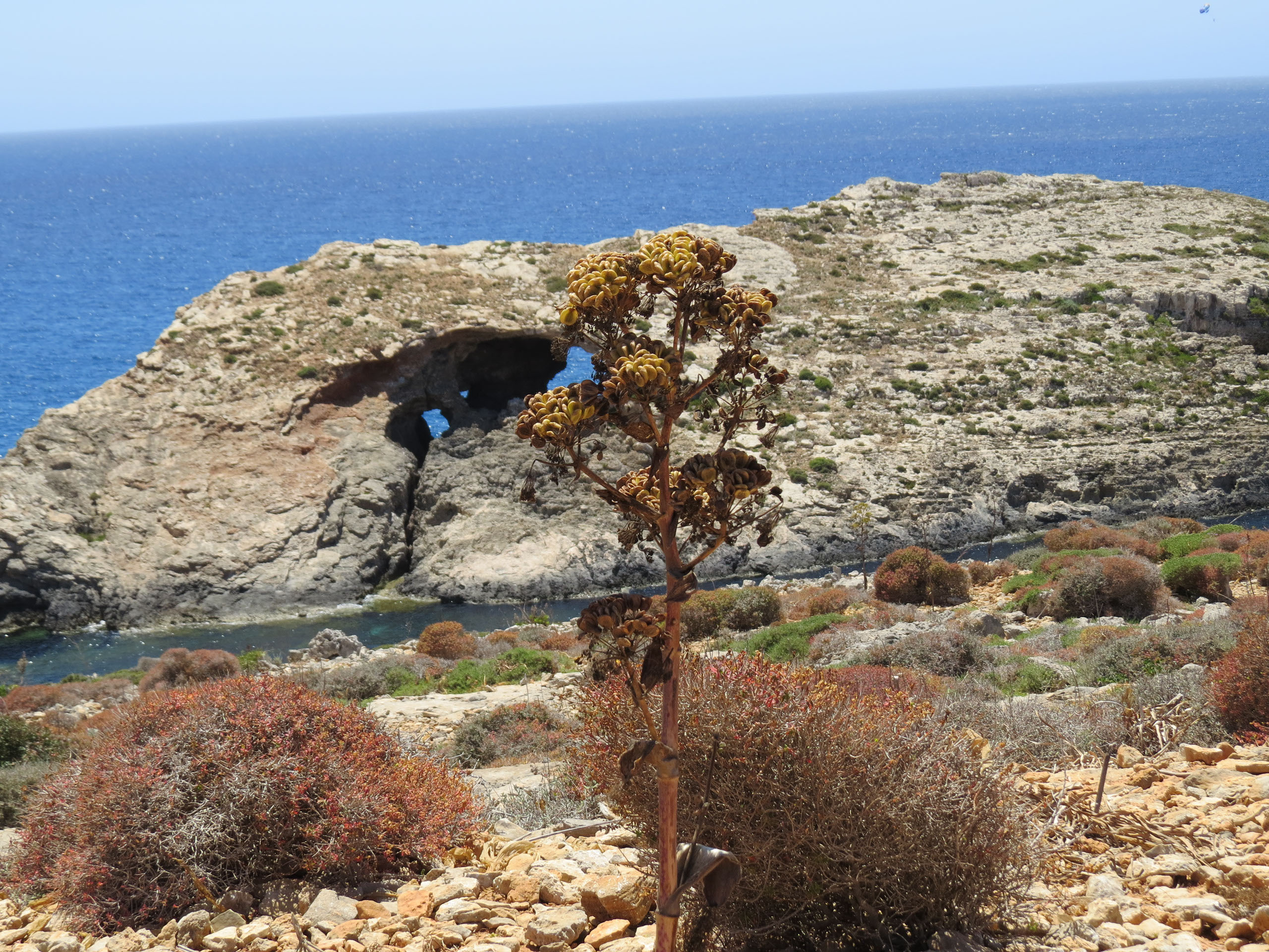 Malta, Valetta (2018), fotografie Angela de Geest